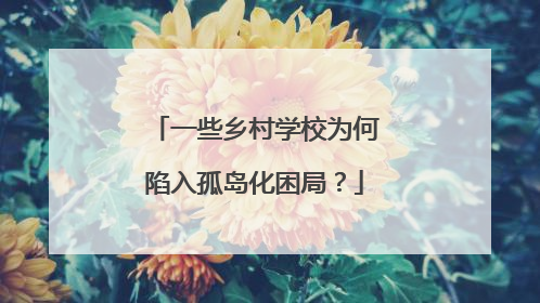 一些乡村学校为何陷入孤岛化困局？