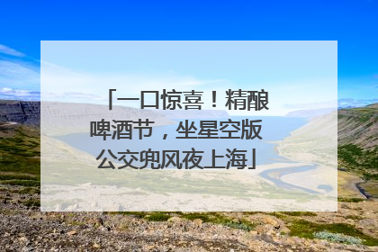 一口惊喜！精酿啤酒节，坐星空版公交兜风夜上海