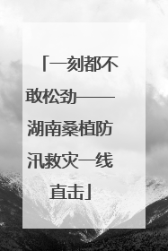 一刻都不敢松劲——湖南桑植防汛救灾一线直击