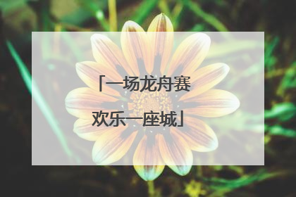 一场龙舟赛 欢乐一座城