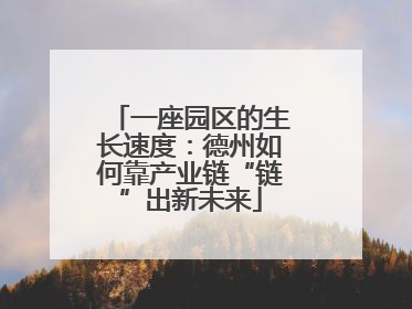 一座园区的生长速度：德州如何靠产业链“链”出新未来