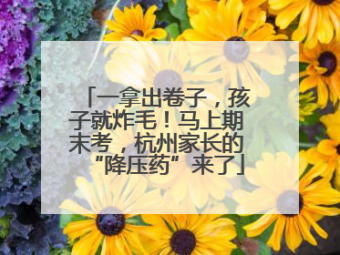 一拿出卷子，孩子就炸毛！马上期末考，杭州家长的“降压药”来了