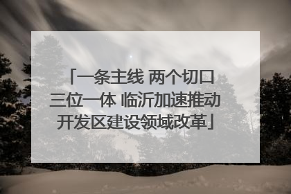 一条主线 两个切口 三位一体 临沂加速推动开发区建设领域改革