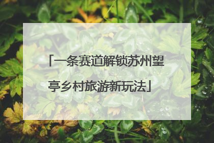 一条赛道解锁苏州望亭乡村旅游新玩法