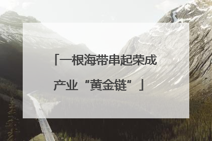 一根海带串起荣成产业“黄金链”