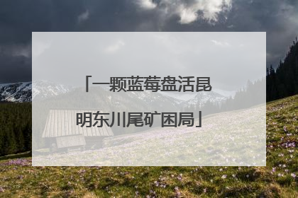一颗蓝莓盘活昆明东川尾矿困局