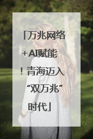 万兆网络+AI赋能！青海迈入“双万兆”时代