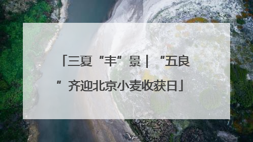 三夏“丰”景｜“五良”齐迎北京小麦收获日