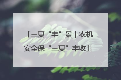 三夏“丰”景｜农机安全保“三夏”丰收