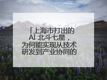 上海市打出的 AI 北斗七星，为何能实现从技术研发到产业协同的闭环生态