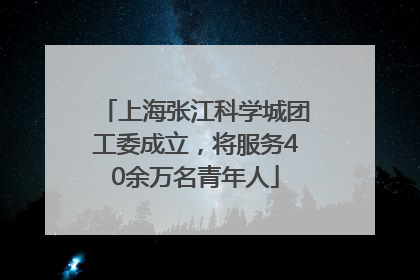上海张江科学城团工委成立，将服务40余万名青年人