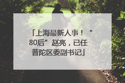 上海最新人事！“80后”赵亮，已任普陀区委副书记