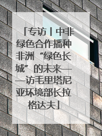 专访丨中非绿色合作播种非洲“绿色长城”的未来——访毛里塔尼亚环境部长拉格达夫