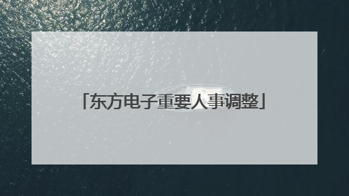 东方电子重要人事调整