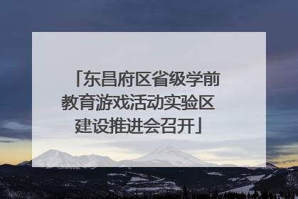 东昌府区省级学前教育游戏活动实验区建设推进会召开