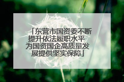 东营市国资委不断提升依法履职水平 为国资国企高质量发展提供坚实保障