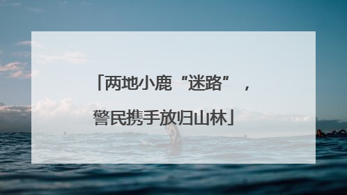 两地小鹿“迷路”，警民携手放归山林