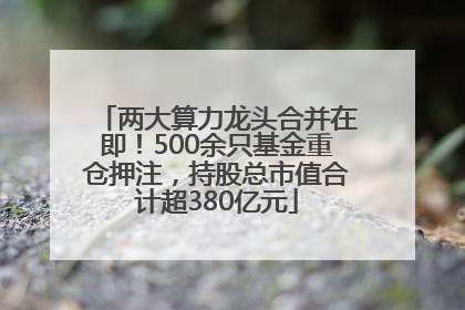 两大算力龙头合并在即！500余只基金重仓押注，持股总市值合计超380亿元