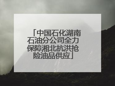 中国石化湖南石油分公司全力保障湘北抗洪抢险油品供应