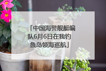 中国海警舰艇编队6月6日在我钓鱼岛领海巡航