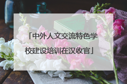 中外人文交流特色学校建设培训在汉收官