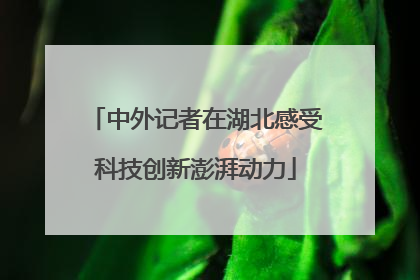 中外记者在湖北感受科技创新澎湃动力