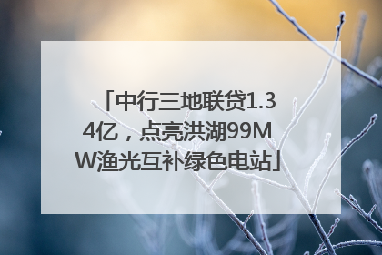 中行三地联贷1.34亿，点亮洪湖99MW渔光互补绿色电站