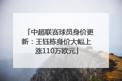 中超联赛球员身价更新：王钰栋身价大幅上涨110万欧元