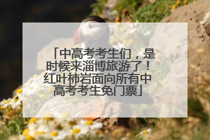 中高考考生们，是时候来淄博旅游了！红叶柿岩面向所有中高考考生免门票