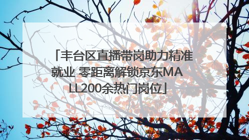 丰台区直播带岗助力精准就业 零距离解锁京东MALL200余热门岗位