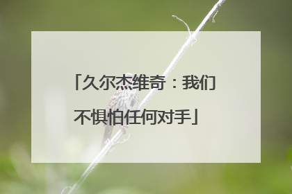 久尔杰维奇：我们不惧怕任何对手