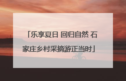 乐享夏日 回归自然 石家庄乡村采摘游正当时
