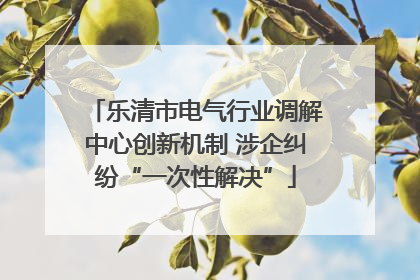 乐清市电气行业调解中心创新机制 涉企纠纷“一次性解决”