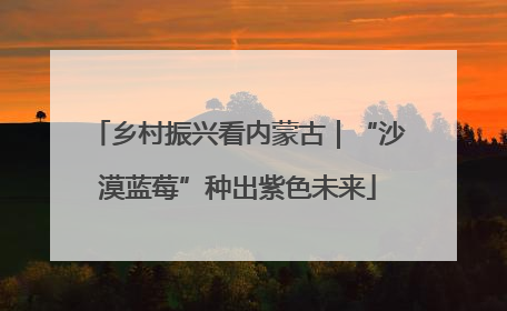 乡村振兴看内蒙古｜“沙漠蓝莓”种出紫色未来