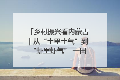 乡村振兴看内蒙古｜从“土里土气”到“虾里虾气” 一田双收模式火出圈