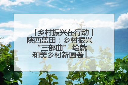乡村振兴在行动丨陕西蓝田：乡村振兴 “三部曲” 绘就和美乡村新画卷