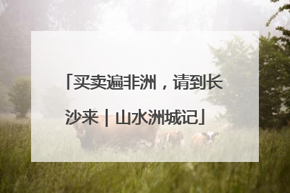 买卖遍非洲，请到长沙来｜山水洲城记