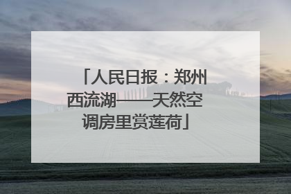 人民日报：郑州西流湖——天然空调房里赏莲荷