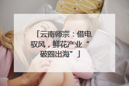 云南师宗：借电驭风，鲜花产业“破圈出海”