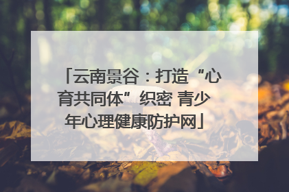云南景谷：打造“心育共同体”织密 青少年心理健康防护网