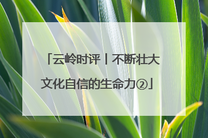 云岭时评丨不断壮大文化自信的生命力②