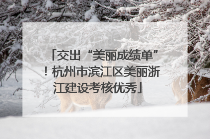 交出“美丽成绩单”！杭州市滨江区美丽浙江建设考核优秀