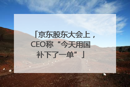 京东股东大会上，CEO称“今天用国补下了一单”