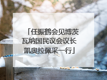 任振鹤会见博茨瓦纳国民议会议长凯奥拉佩采一行