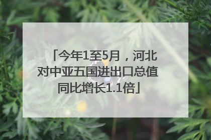 今年1至5月，河北对中亚五国进出口总值同比增长1.1倍