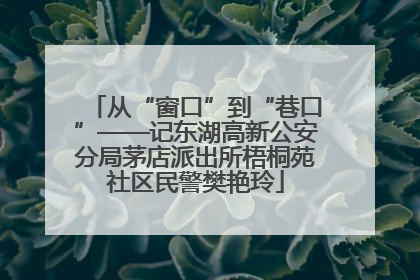 从“窗口”到“巷口”——记东湖高新公安分局茅店派出所梧桐苑社区民警樊艳玲
