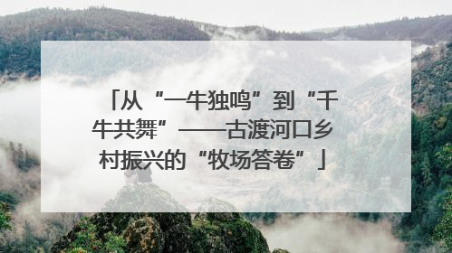 从“一牛独鸣”到“千牛共舞”——古渡河口乡村振兴的“牧场答卷”