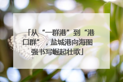 从“一群港”到“港口群”，盐城港向海图强书写崛起壮歌