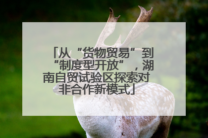 从“货物贸易”到“制度型开放”，湖南自贸试验区探索对非合作新模式