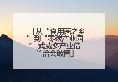 从“食用菌之乡”到“零碳产业园” 武威多产业借兰洽会破圈